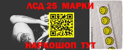 гидропоника Будённовск