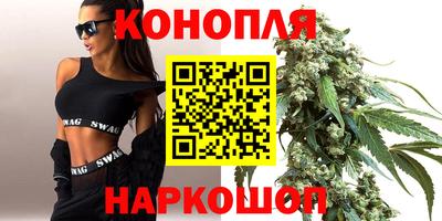 гидропоника Будённовск