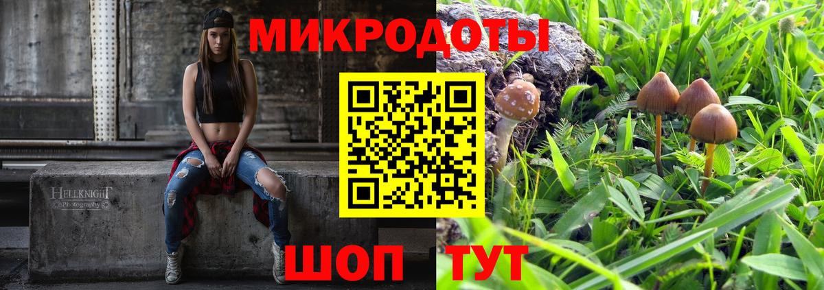 Новомосковск  Псилоцибиновые грибы Cubensis  Галлюциногенные грибы Cubensis  Вход с VPN 